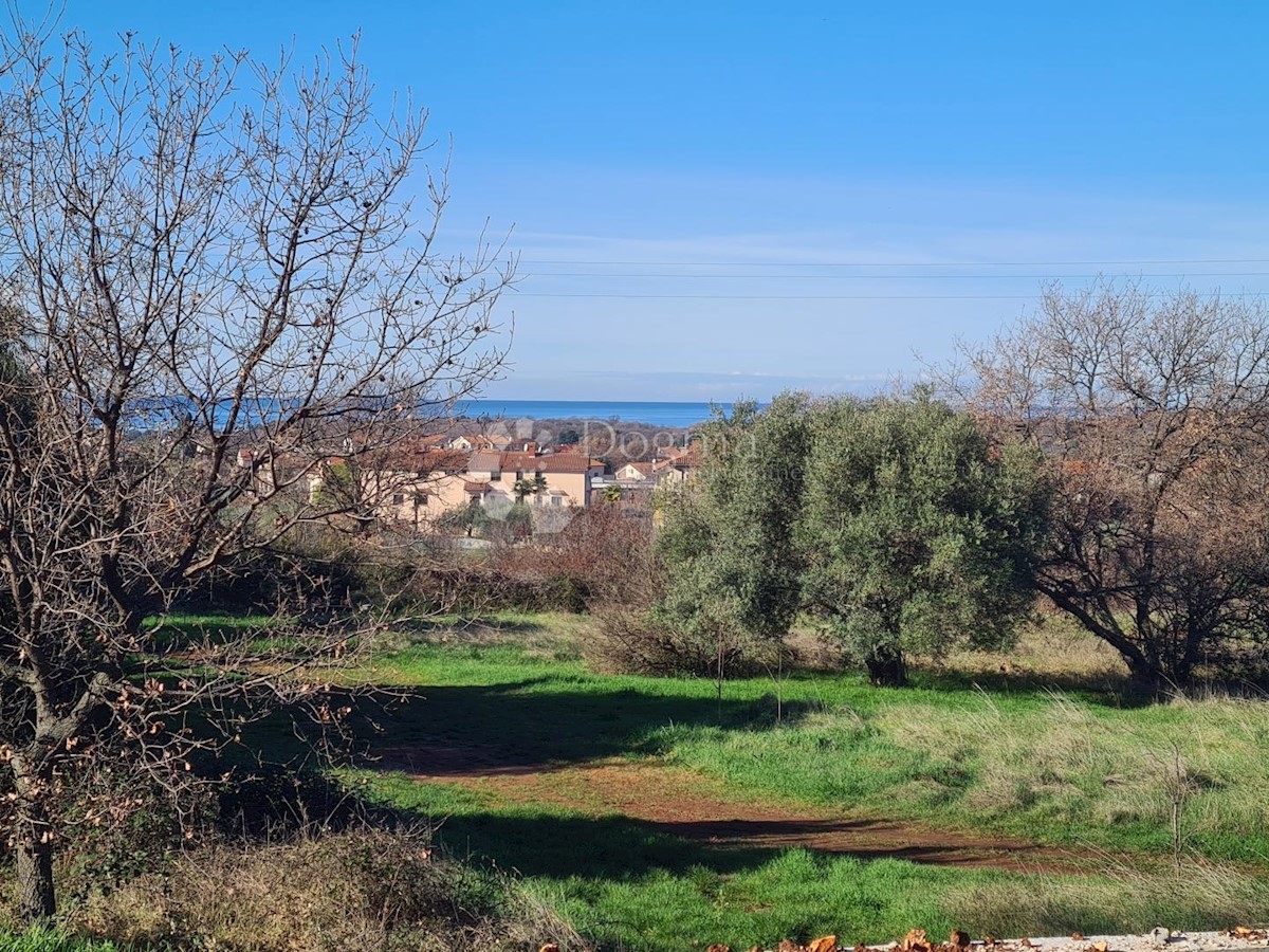 Parcela Na predaj SVETI LOVREČ PAZENATIČKI
