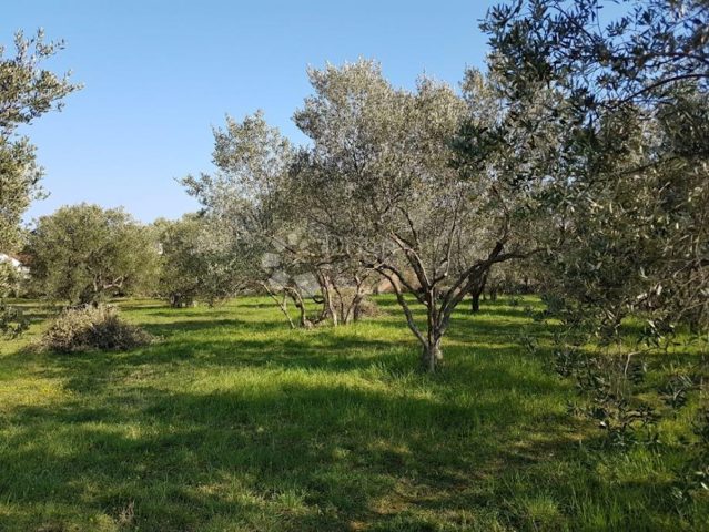 Land for sale 961 m² – Sukošan