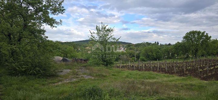 Parcela Na predaj - Istarska Karojba - foto 5/21