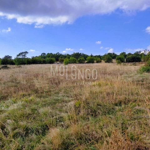 Zemljište na prodaju 1835 m² – Lupoglav