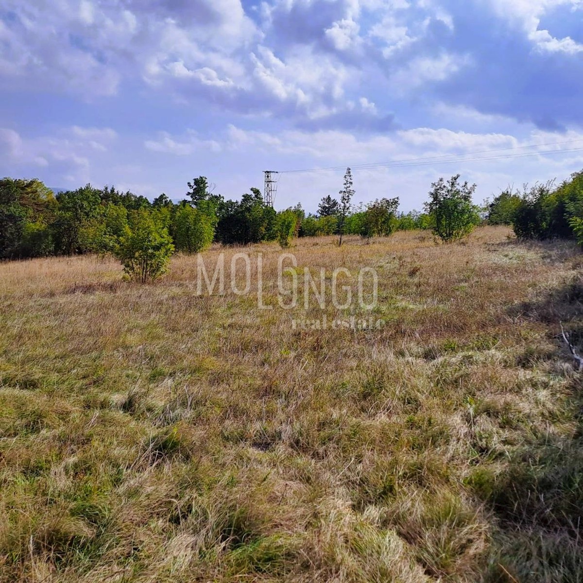 Land For sale - ISTARSKA LUPOGLAV