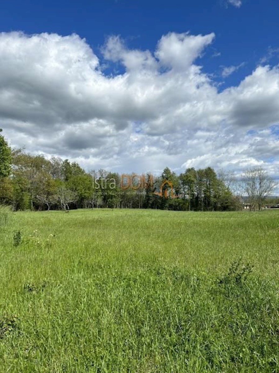 Terreno In vendita - ISTARSKA BARBAN