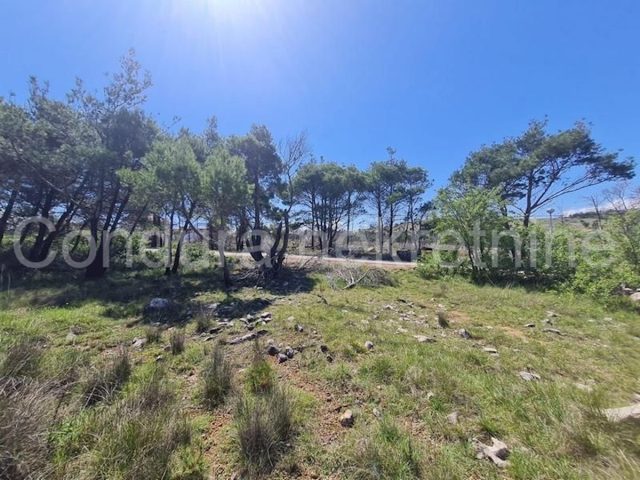 Pozemok na predaj 1436 m² – Vir