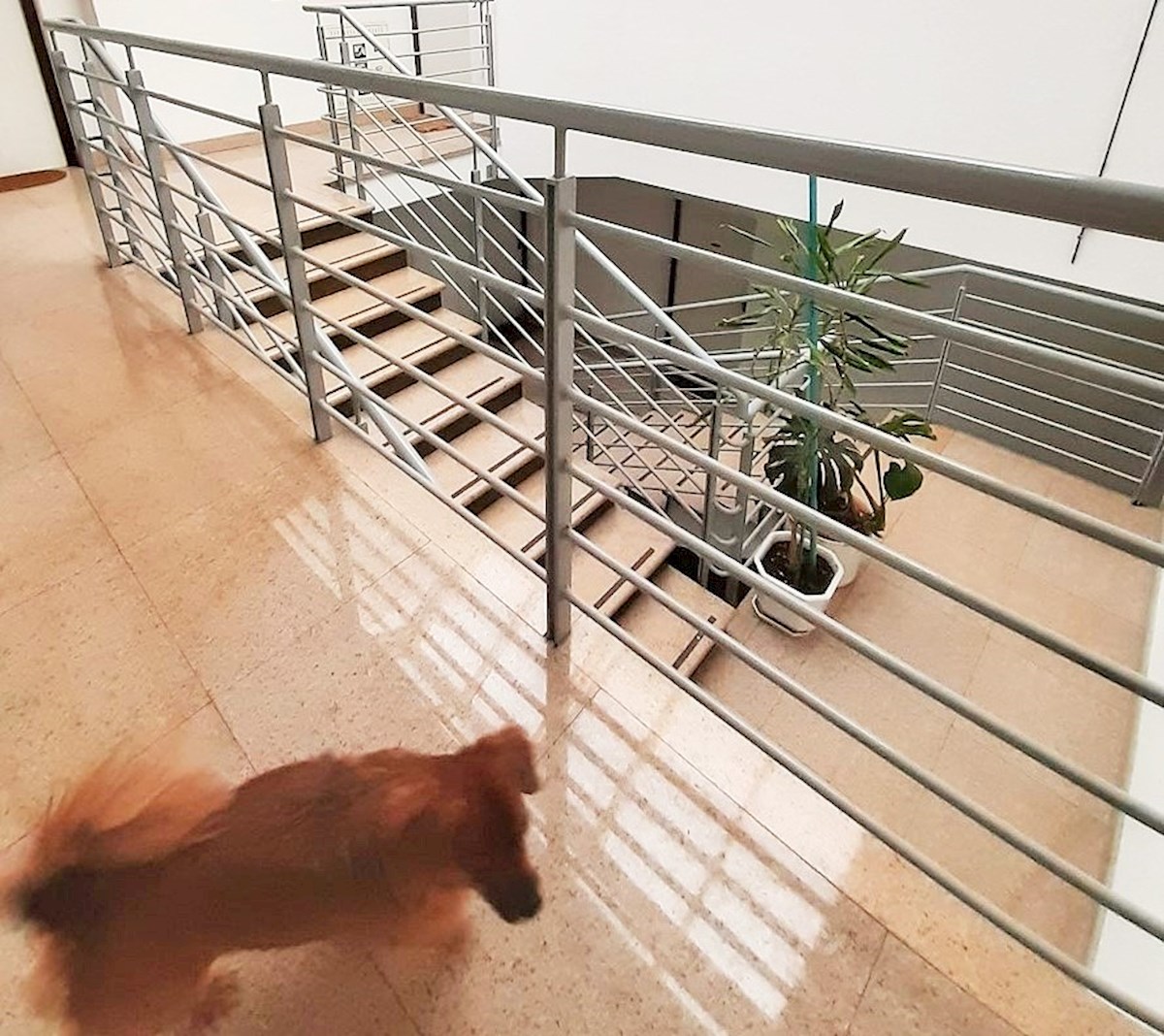 Apartma Za najem - GRAD ZAGREB ZAGREB