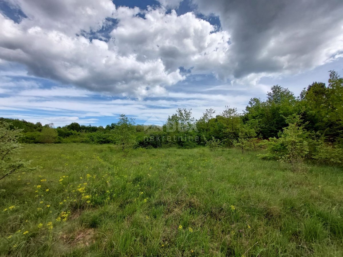 Terreno In vendita - Istarska Labin - foto 3/6