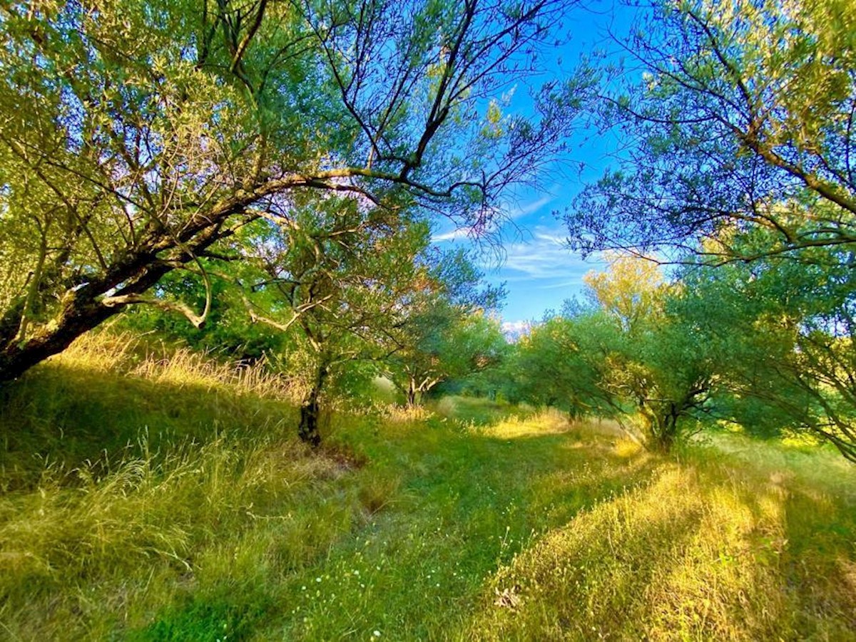 Pozemok Na predaj - ISTARSKA CEROVLJE