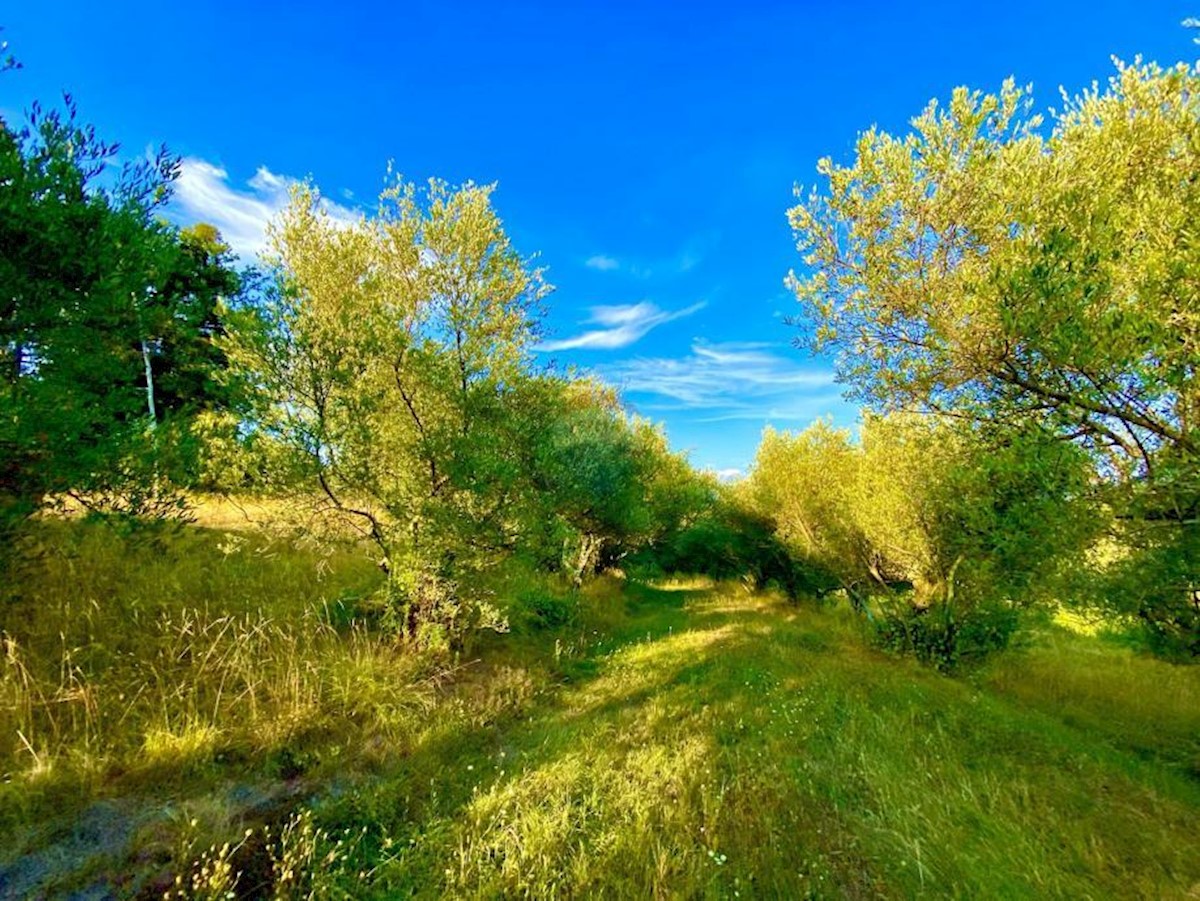 Pozemok Na predaj - ISTARSKA CEROVLJE