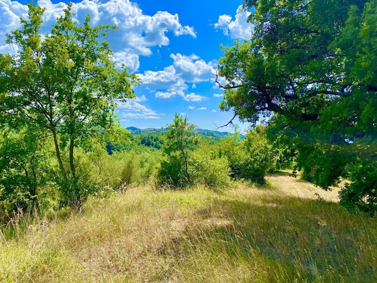 Pozemok Na predaj - ISTARSKA CEROVLJE