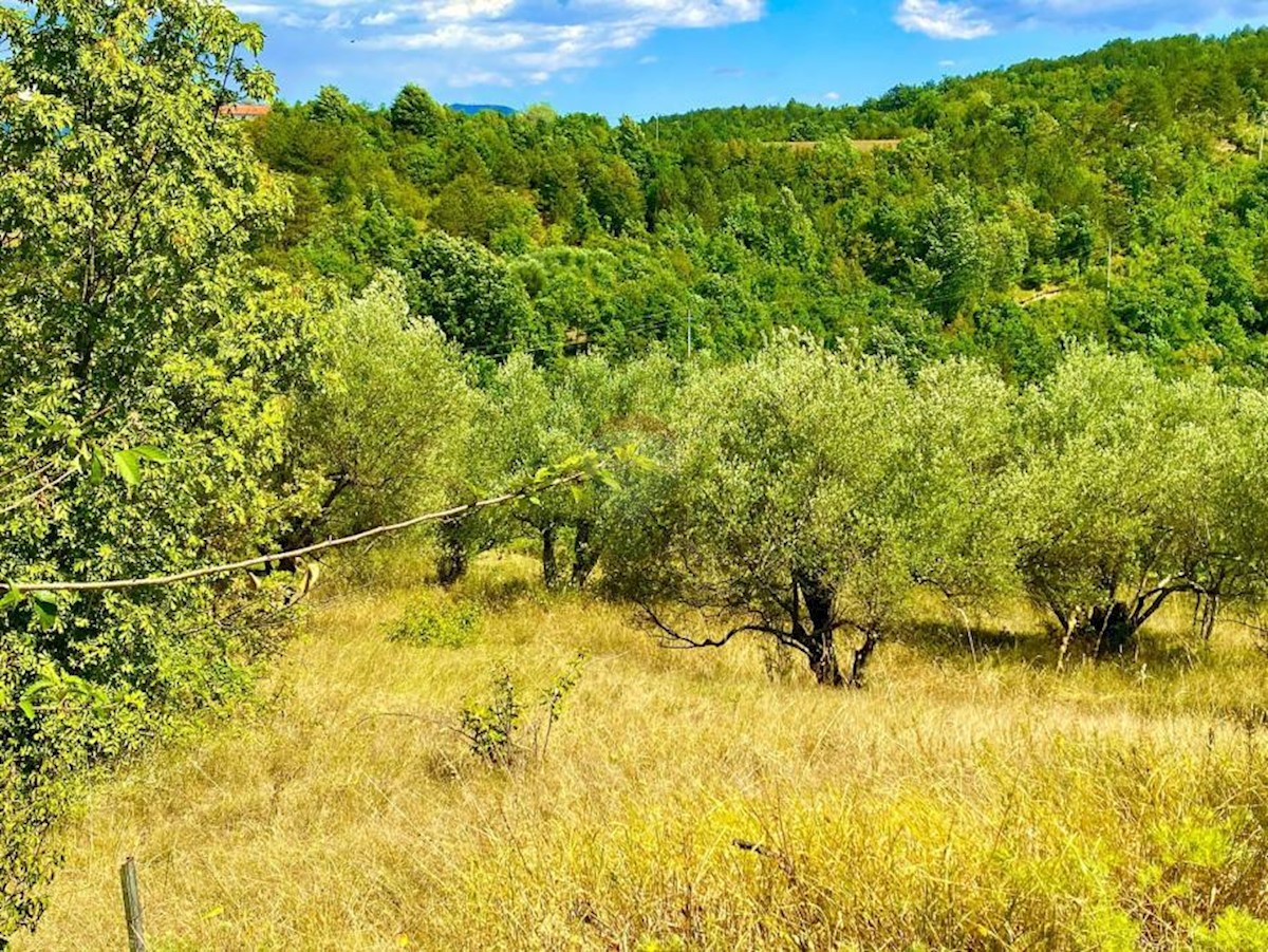 Pozemok Na predaj - ISTARSKA CEROVLJE