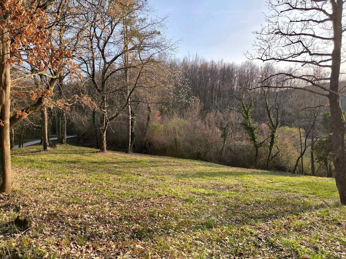 Terreno In vendita - ISTARSKA PAZIN