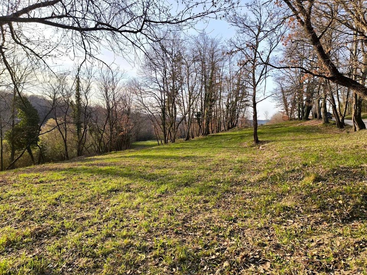 Zemljište Na prodaju - ISTARSKA PAZIN