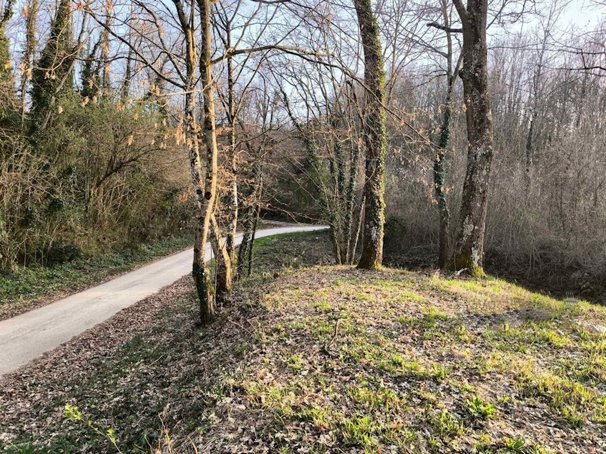 Terreno In vendita - ISTARSKA PAZIN