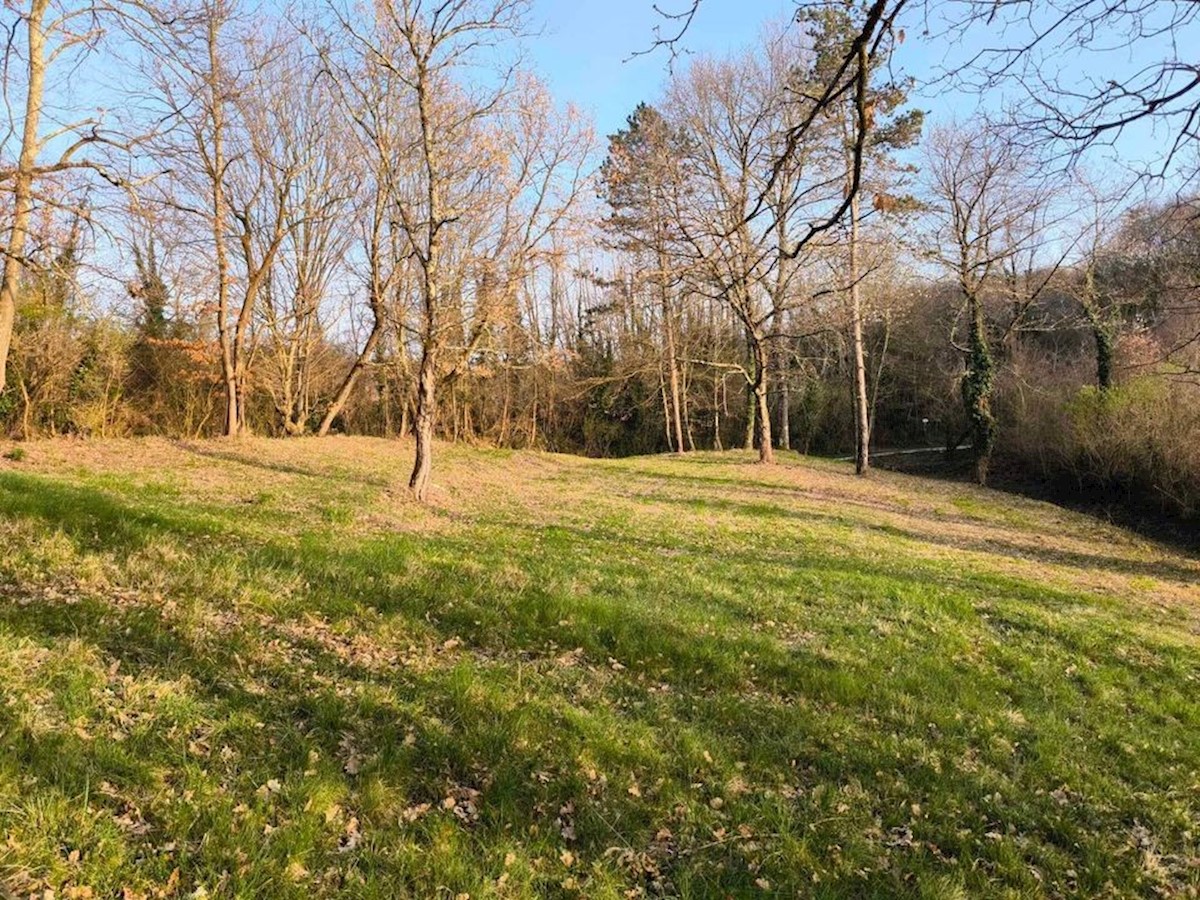 Land For sale - ISTARSKA PAZIN