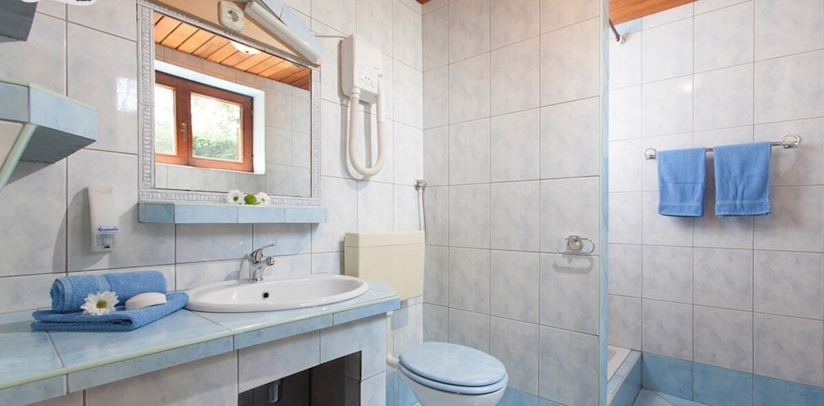 House For sale - ISTARSKA NOVIGRAD