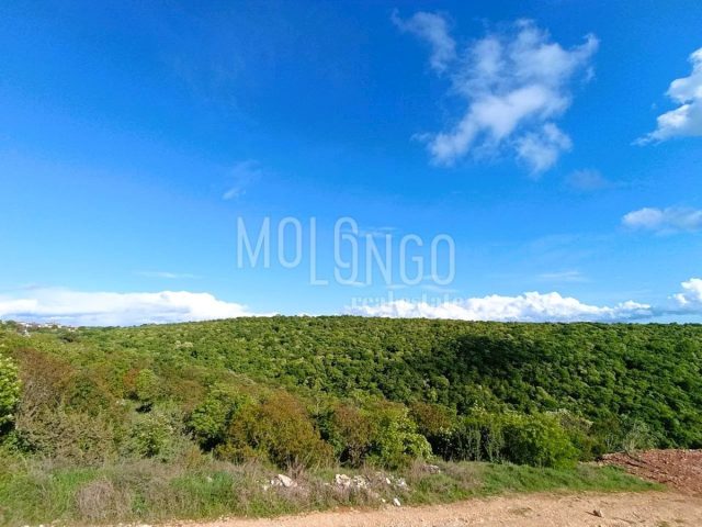 House For sale - Istarska Brtonigla - foto 5/26