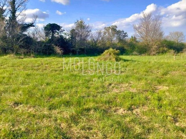 Land For sale - Istarska Svetvinčenat - foto 2/8