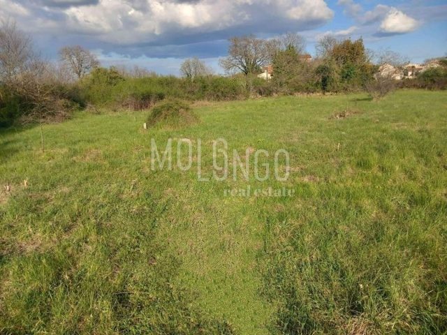 Land For sale - Istarska Svetvinčenat - foto 3/8