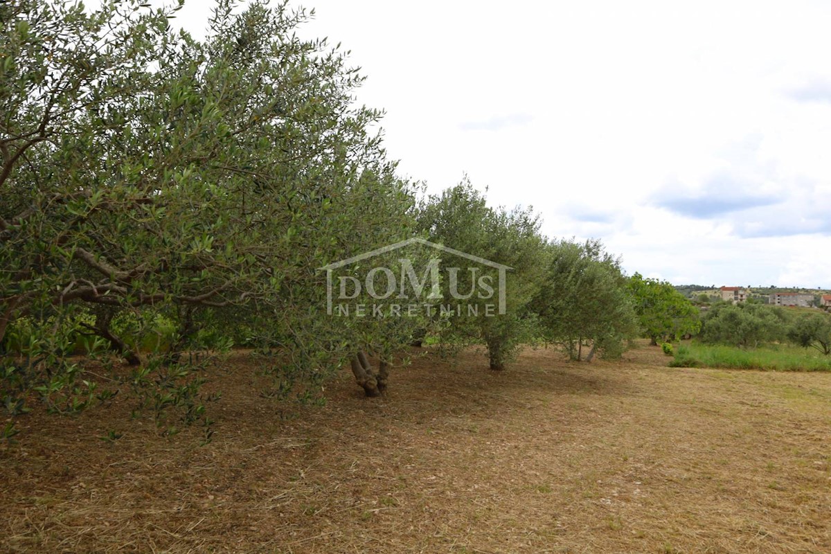 Land For sale - ŠIBENSKO-KNINSKA ŠIBENIK