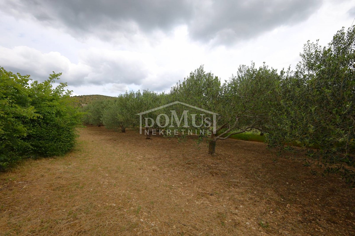 Land For sale - ŠIBENSKO-KNINSKA ŠIBENIK