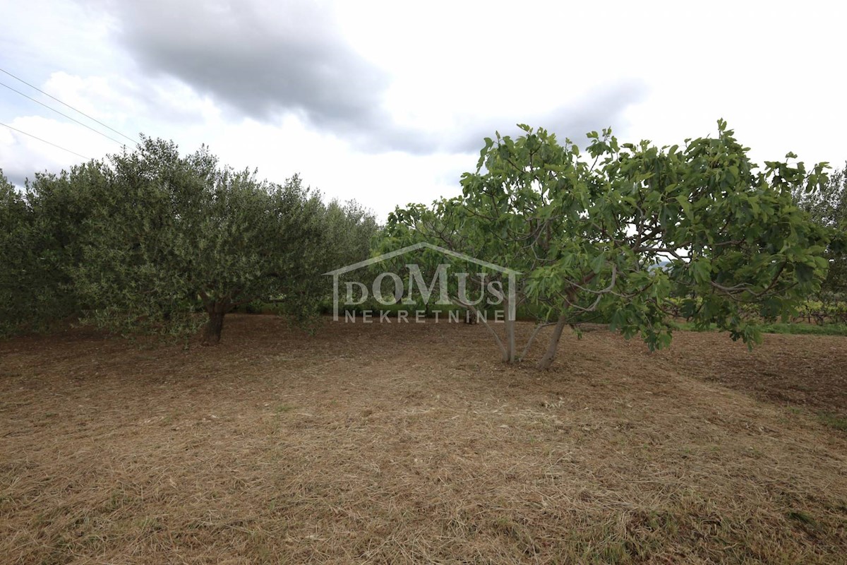 Land For sale - ŠIBENSKO-KNINSKA ŠIBENIK