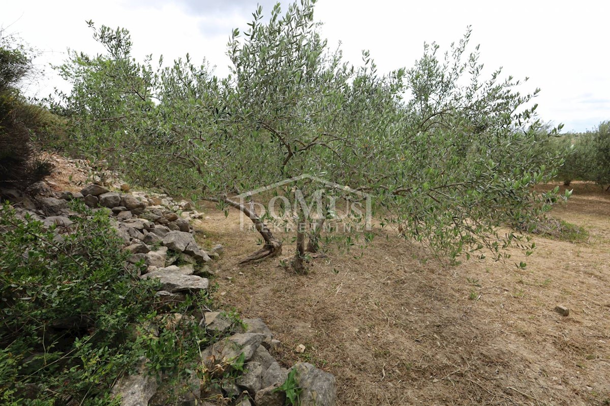 Terreno In vendita - ŠIBENSKO-KNINSKA ŠIBENIK