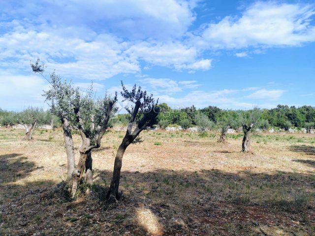Terreno in vendita – Rakalj