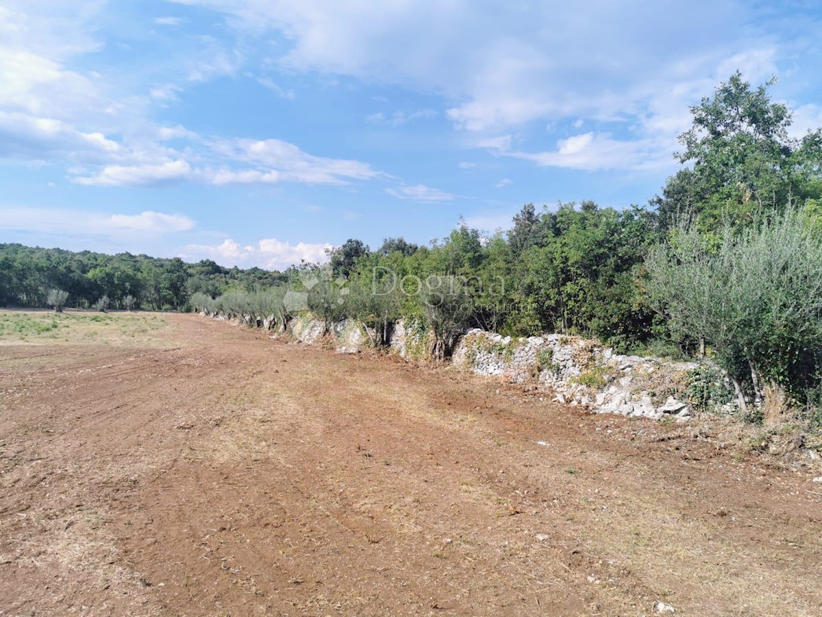 Pozemok Na predaj - ISTARSKA MARČANA