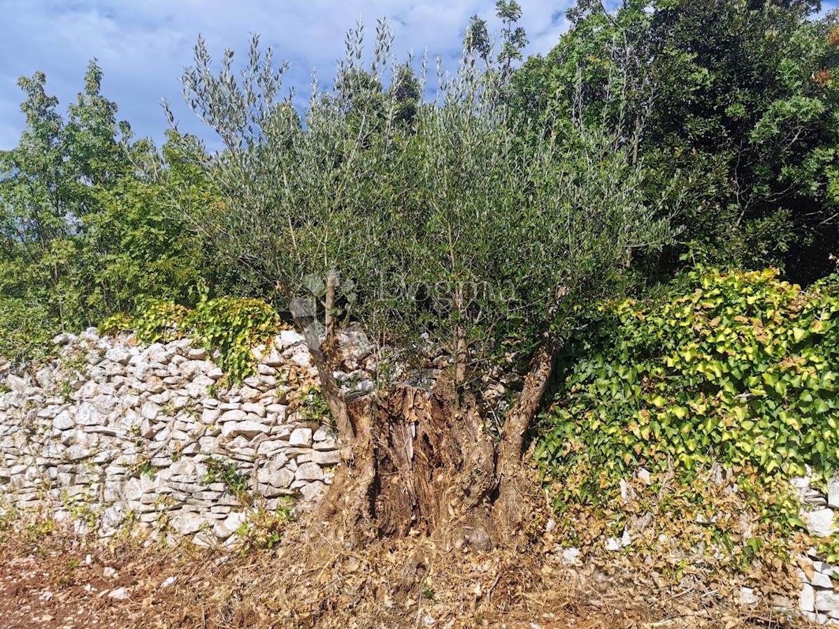 Pozemok Na predaj - ISTARSKA MARČANA