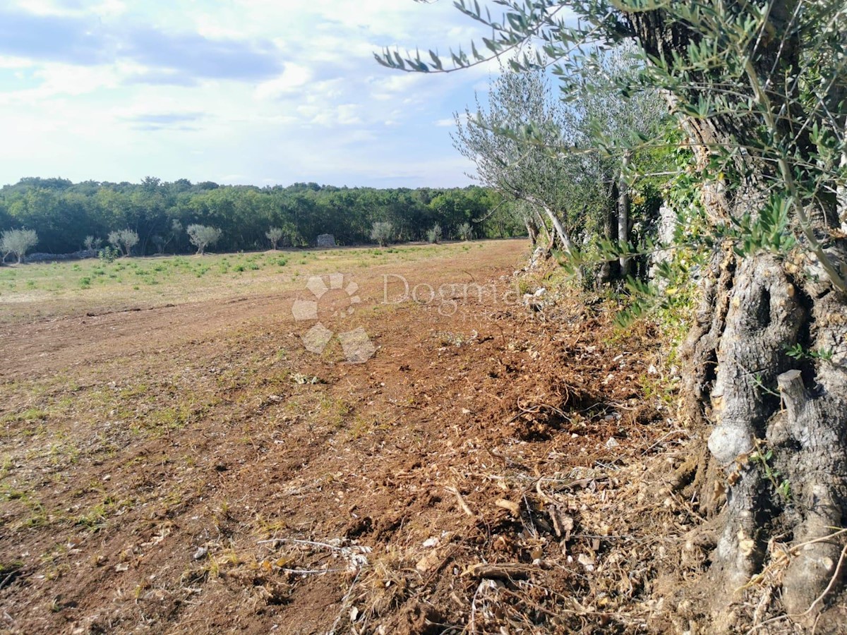 Pozemek Na prodej - ISTARSKA MARČANA