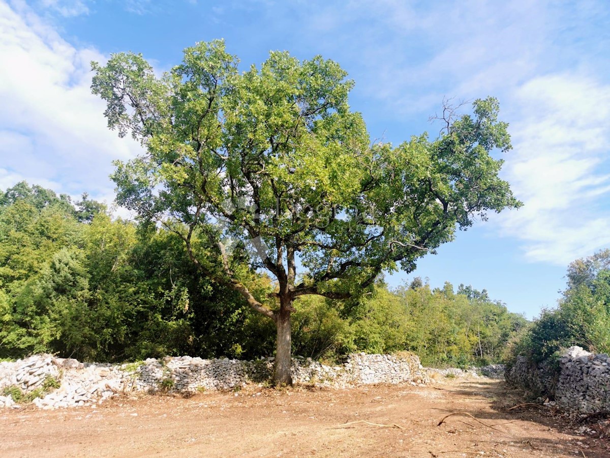 Pozemok Na predaj - ISTARSKA MARČANA