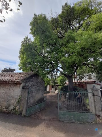 Casa In vendita - Istarska Ližnjan - foto 3/17