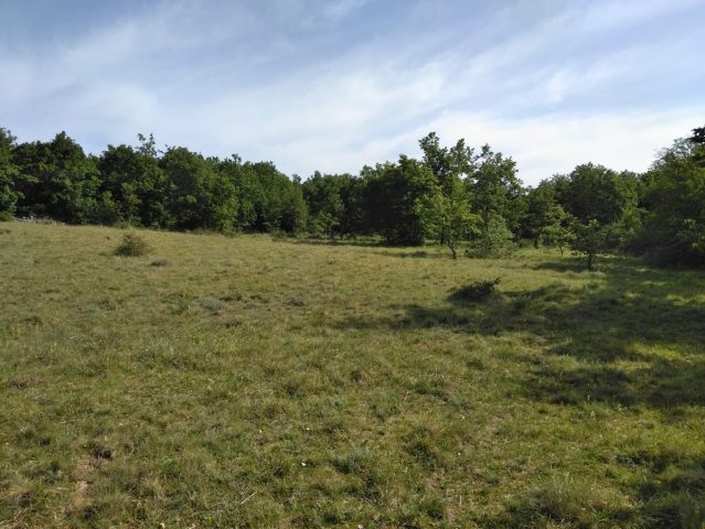 Grundstück zu verkaufen 44600 m² – Višnjan