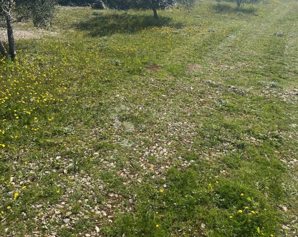Pozemok na predaj 900 m² – Vrsine