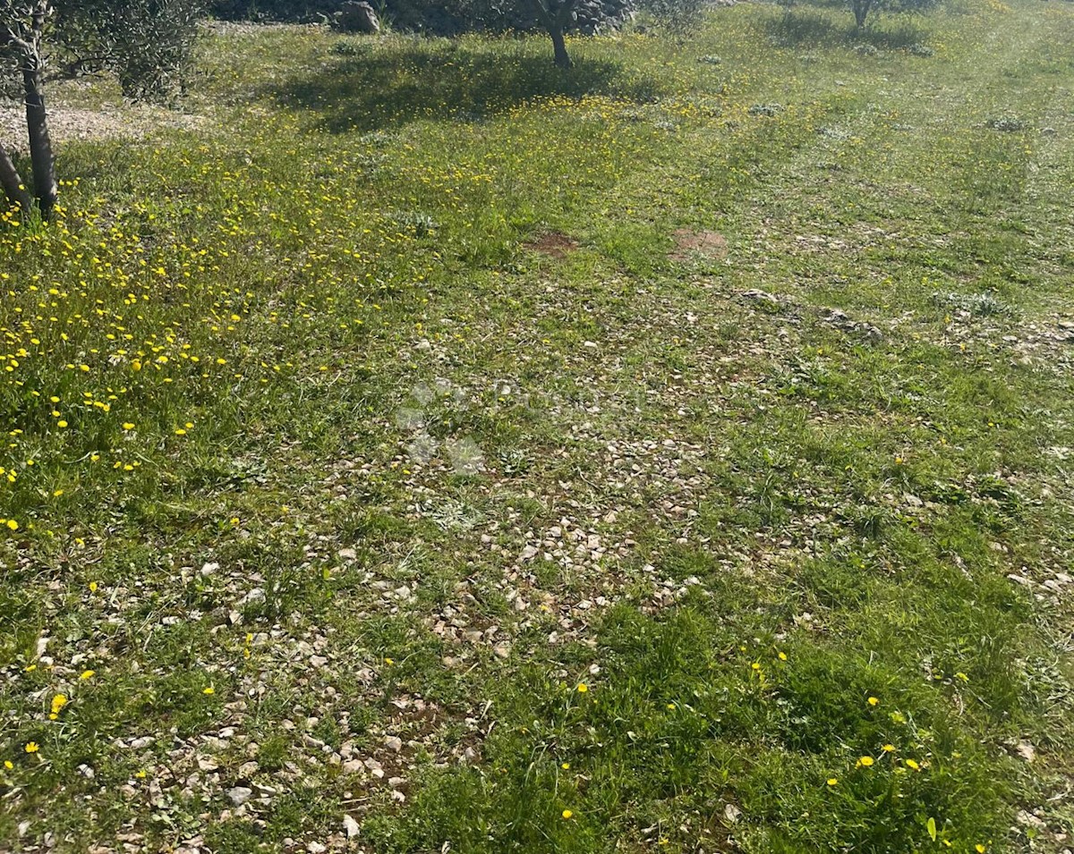 Land For sale VRSINE