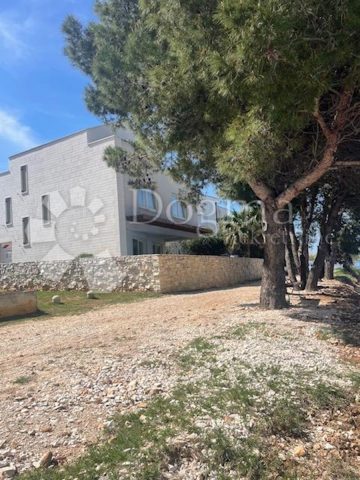 House For sale - Zadarska Nin - foto 3/19