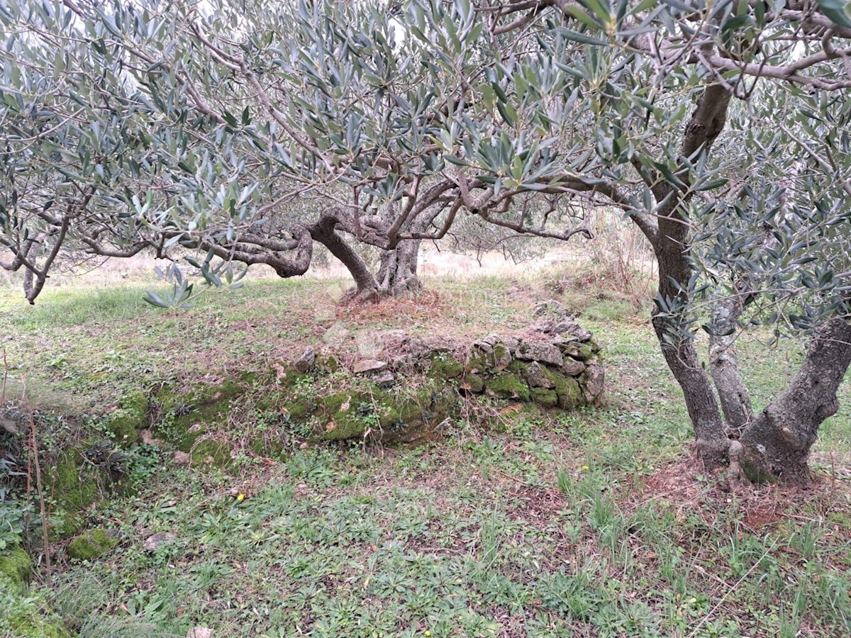 Terreno In vendita - SPLITSKO-DALMATINSKA HVAR