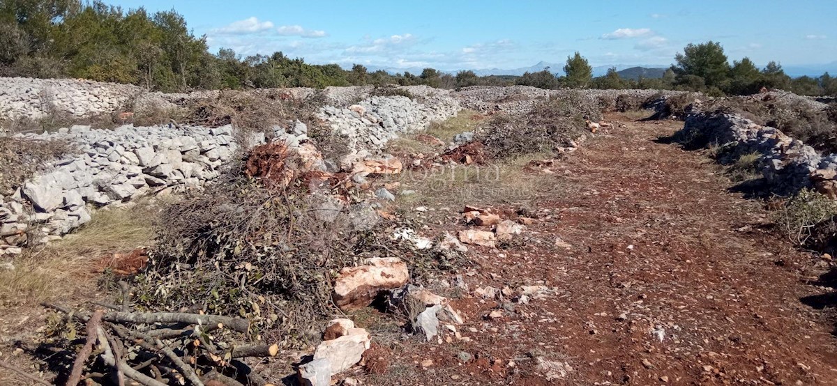 Grundstück Zu verkaufen - SPLITSKO-DALMATINSKA HVAR