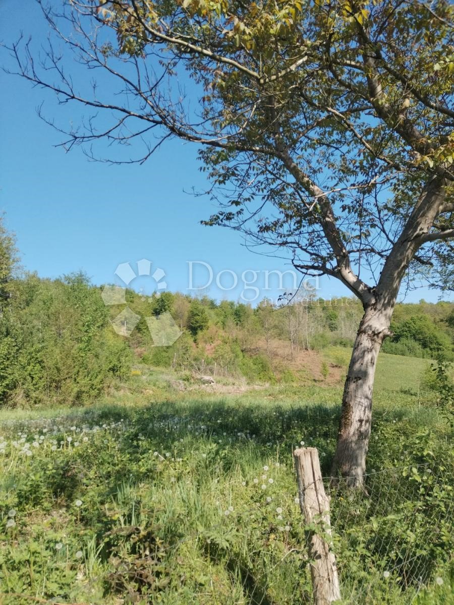 Casa In vendita - KARLOVAČKA KARLOVAC