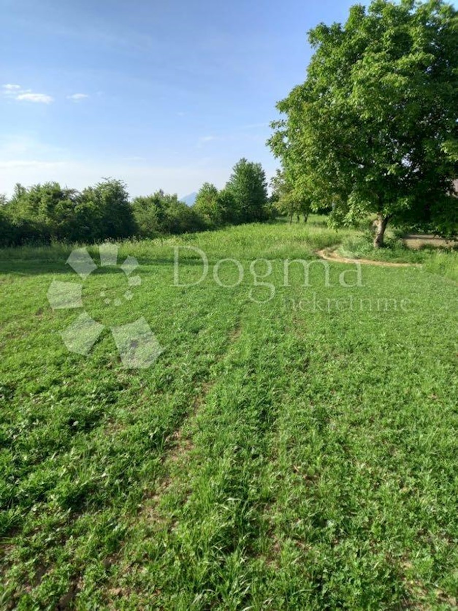 Land For sale DIVOSELO