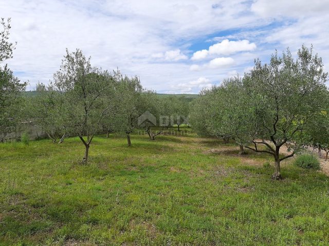 Pozemok na predaj 1080 m² – Pridraga