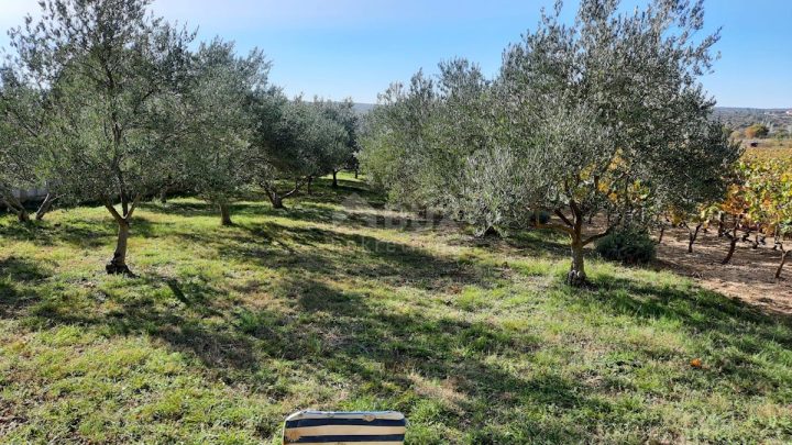 Grundstück Zu verkaufen - Zadarska Novigrad - foto 5/5
