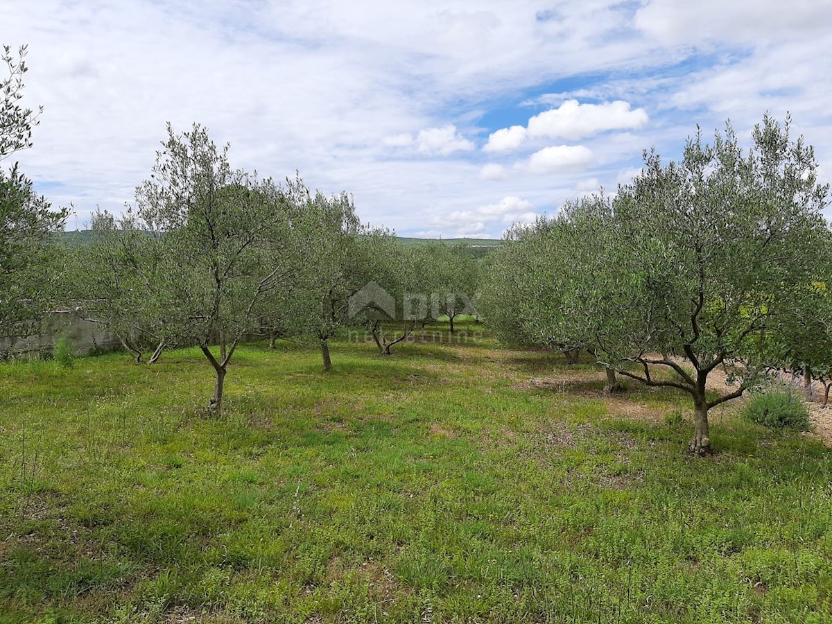 Terreno In vendita - ZADARSKA NOVIGRAD