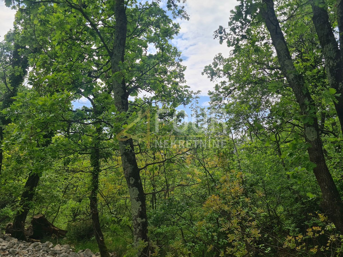 Land For sale - PRIMORSKO-GORANSKA KOSTRENA