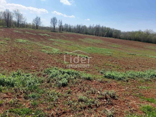Land for sale 10858 m² – Markovići