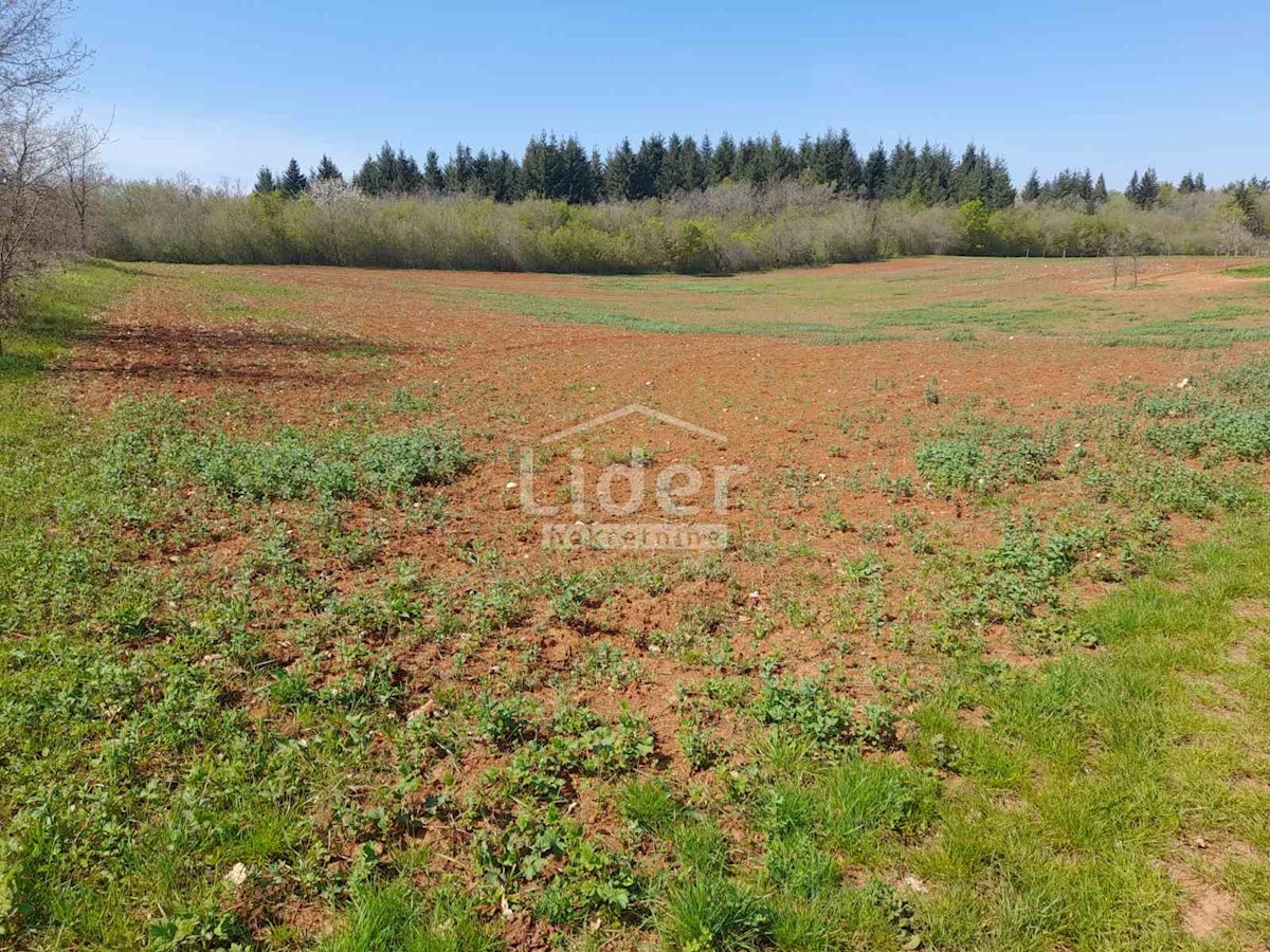 Terreno In vendita - ISTARSKA VIŽINADA