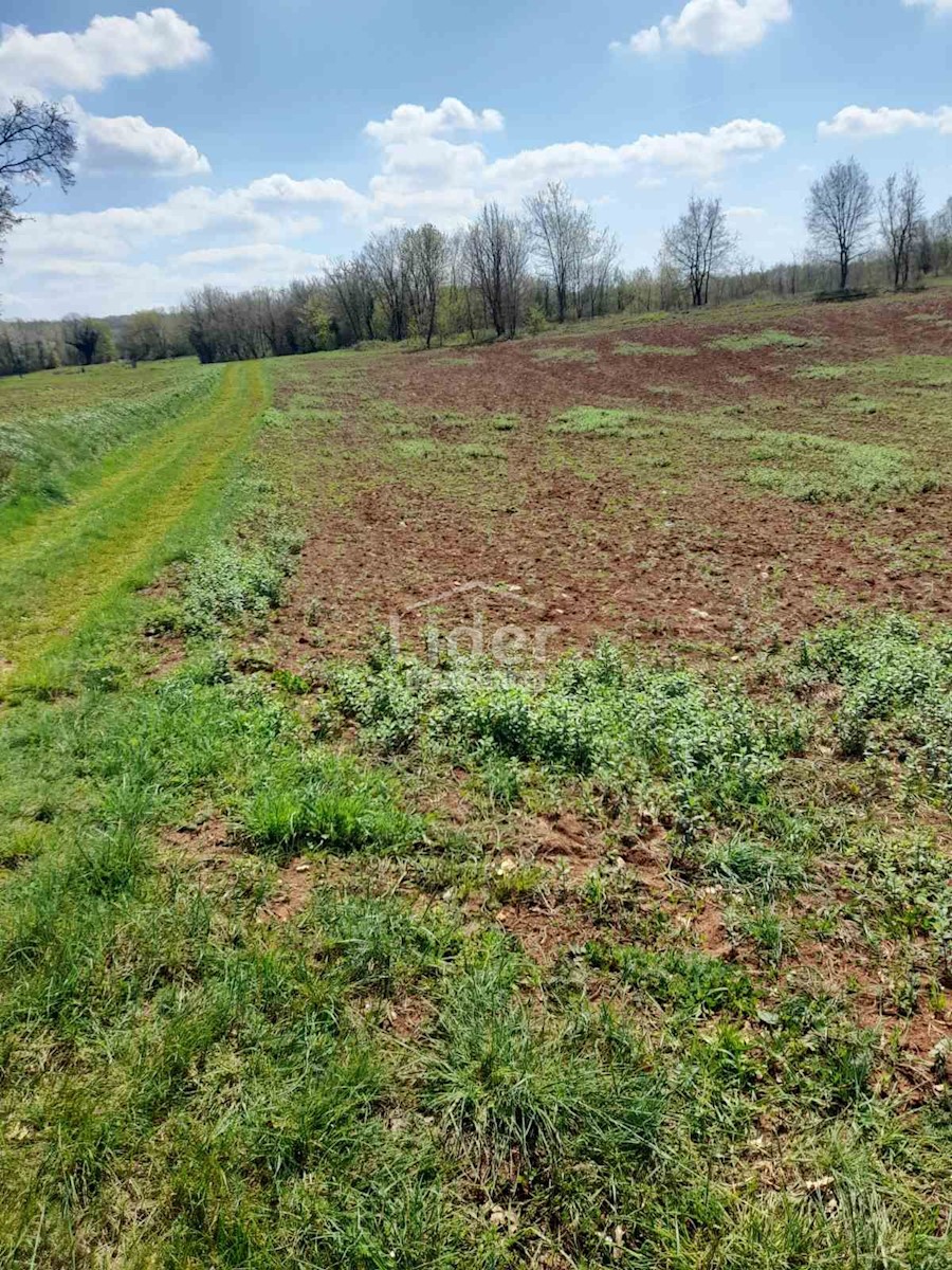 Terreno In vendita - ISTARSKA VIŽINADA