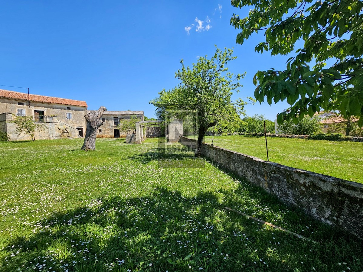 Dom Na sprzedaż - Istarska Poreč - foto 4/13