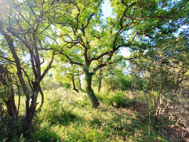 Terrain à vendre 1792 m² – Peroj