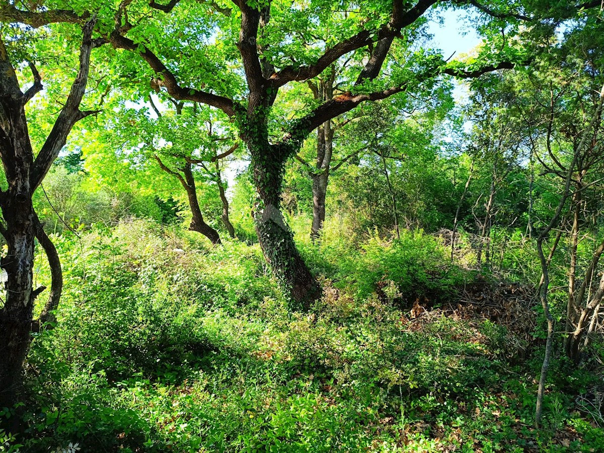 Land For sale - ISTARSKA Vodnjan