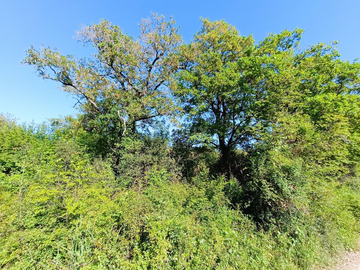 Zemljište Na prodaju - ISTARSKA VODNJAN